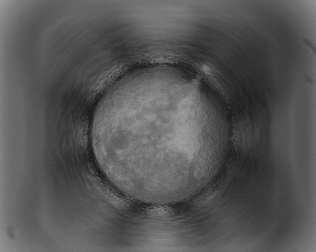 X0000100480402200807031857