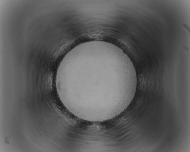 X0000100480404200807031857