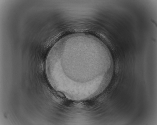 X0000100480405200807031857