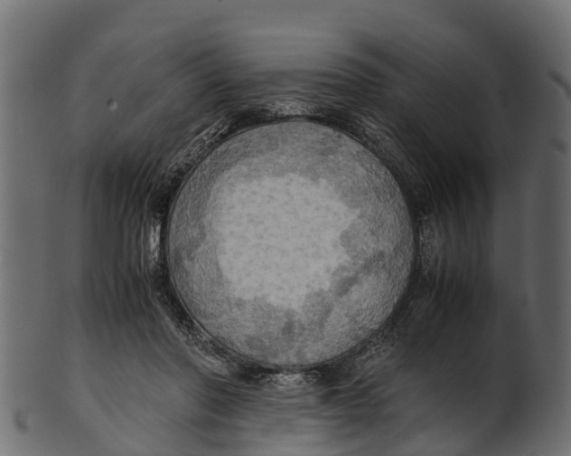 X0000100480406200807031857