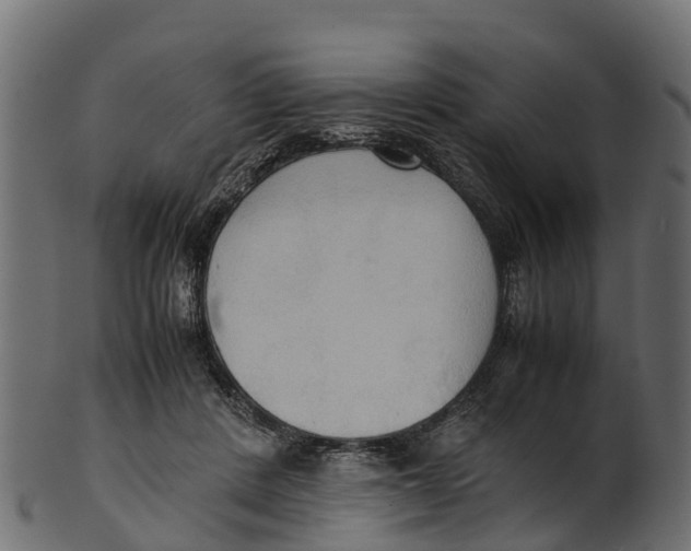 X0000100480408200807031856