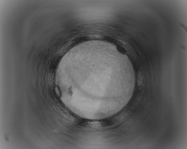 X0000100480409200807031856