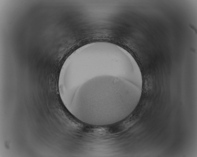 X0000100480411200807031856