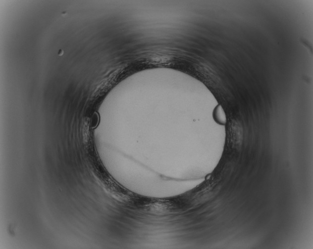 X0000100480412200807031856