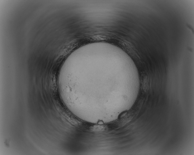 X0000100480418200807031856