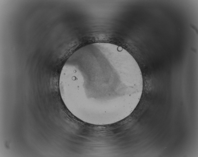 X0000100480419200807031856