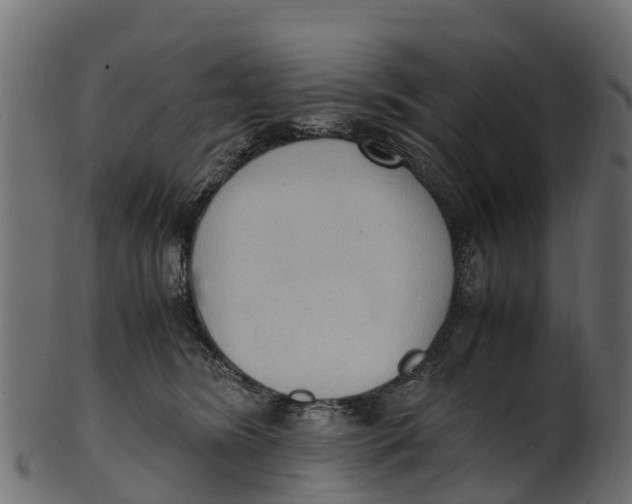 X0000100480420200807031856