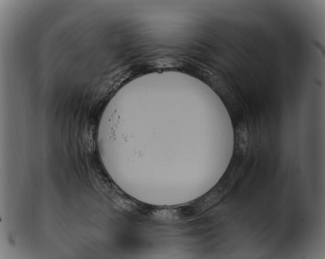 X0000100480422200807031856