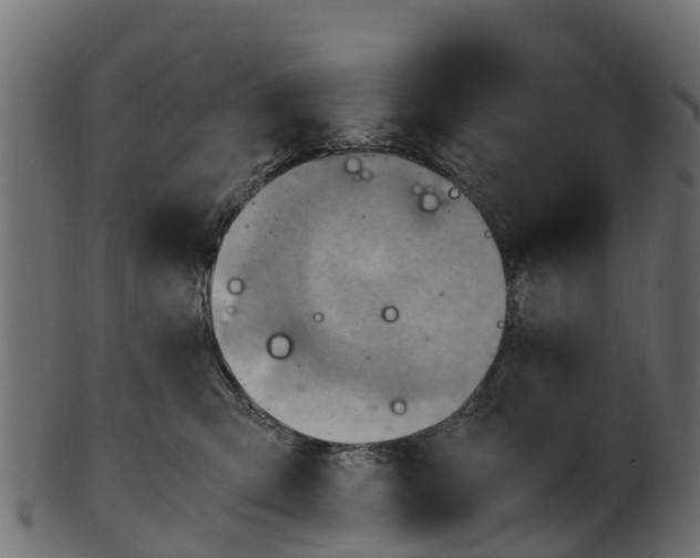 X0000100480423200807031856