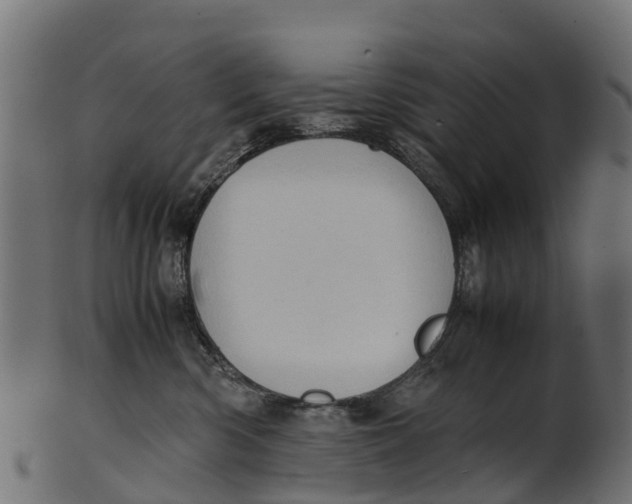 X0000100480426200807031856