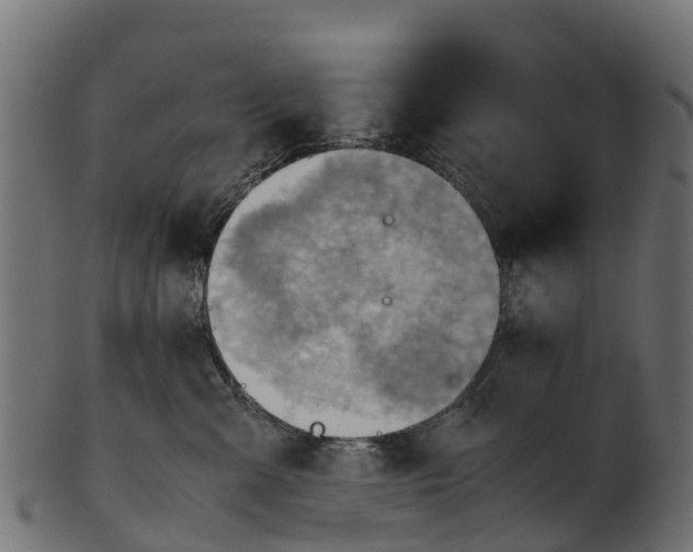 X0000100480427200807031856