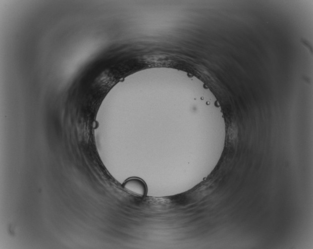 X0000100480429200807031856