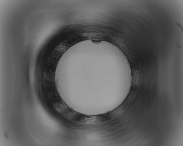 X0000100480430200807031856