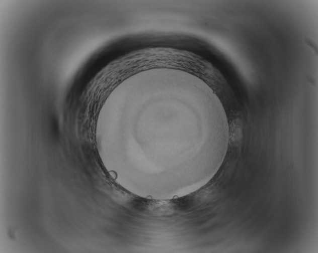 X0000100480431200807031856