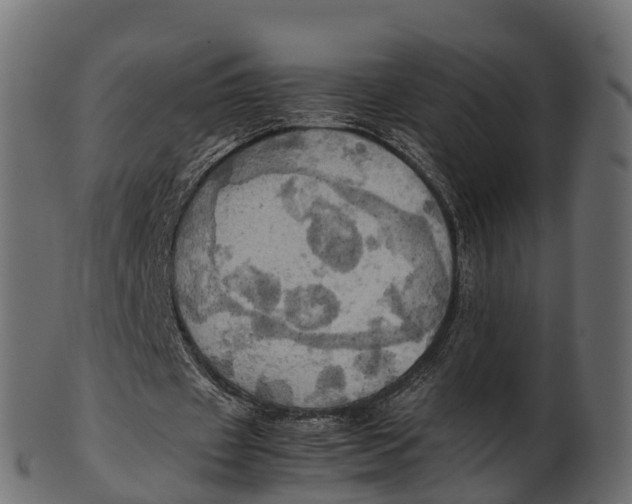 X0000100480433200807031855