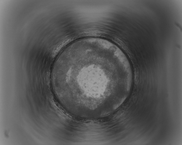 X0000100480434200807031855