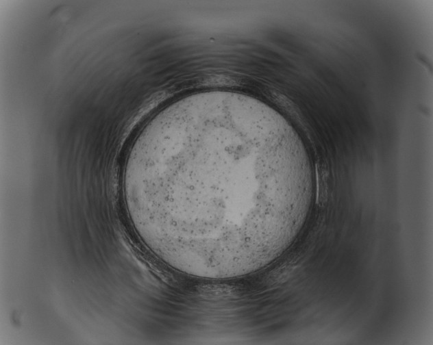 X0000100480435200807031855