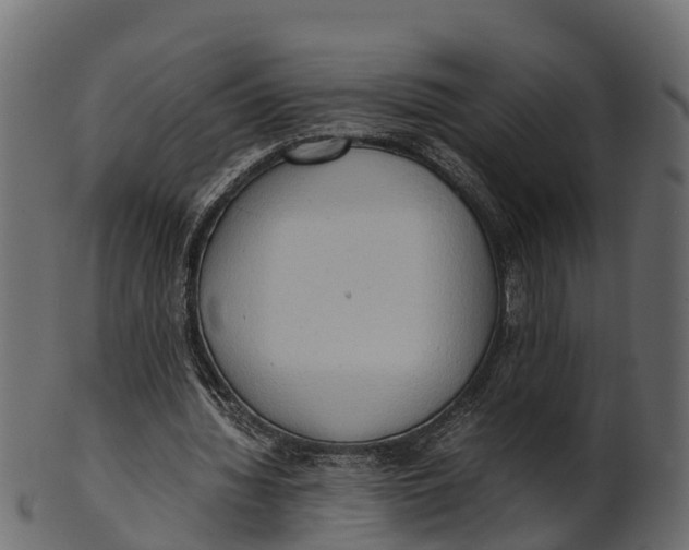 X0000100480436200807031855