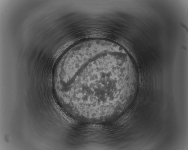 X0000100480437200807031855