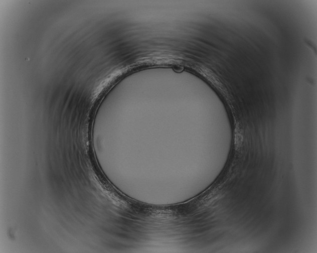 X0000100480438200807031855