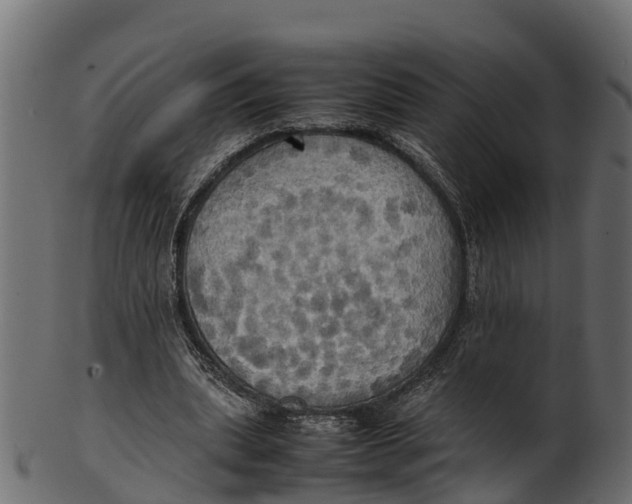 X0000100480439200807031855