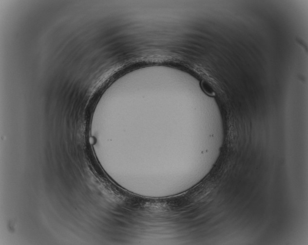 X0000100480440200807031855