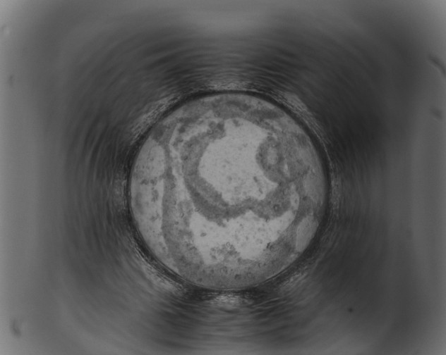 X0000100480441200807031855