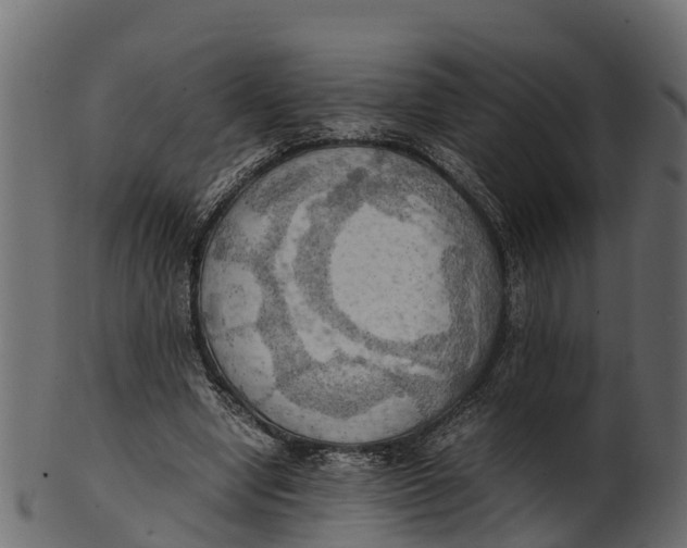 X0000100480442200807031855