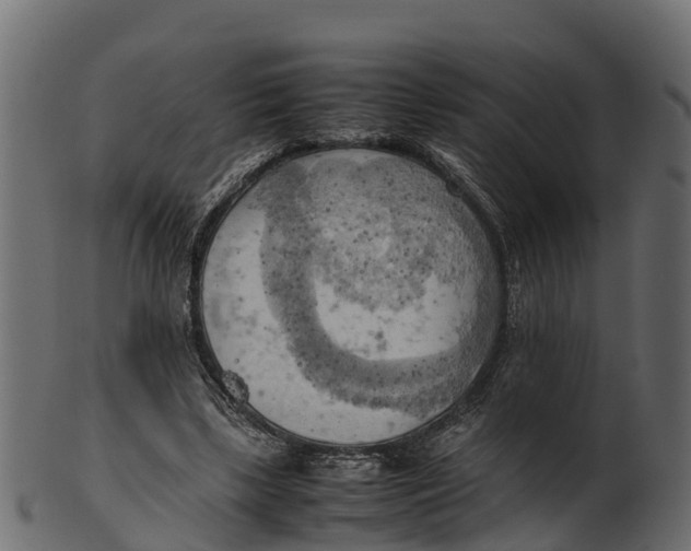 X0000100480443200807031855