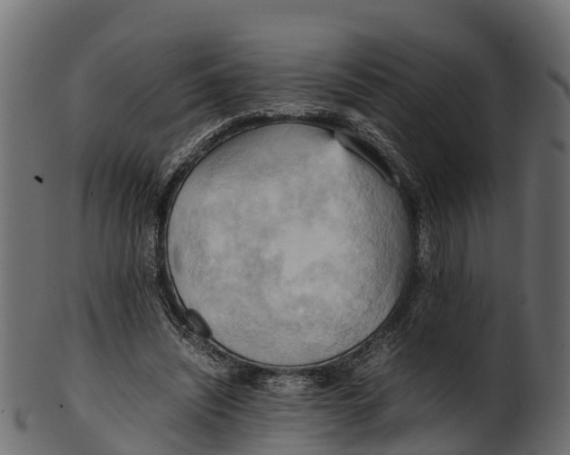 X0000100480444200807031855