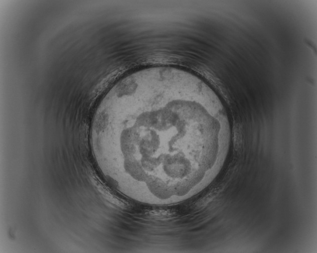 X0000100480445200807031855