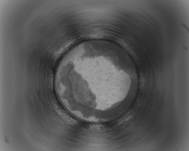 X0000100480446200807031855