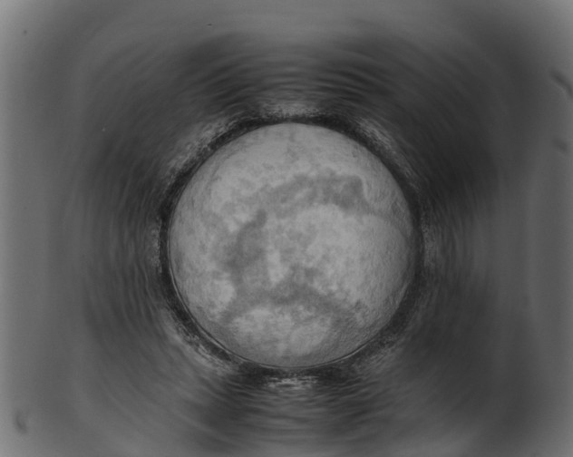 X0000100480447200807031856