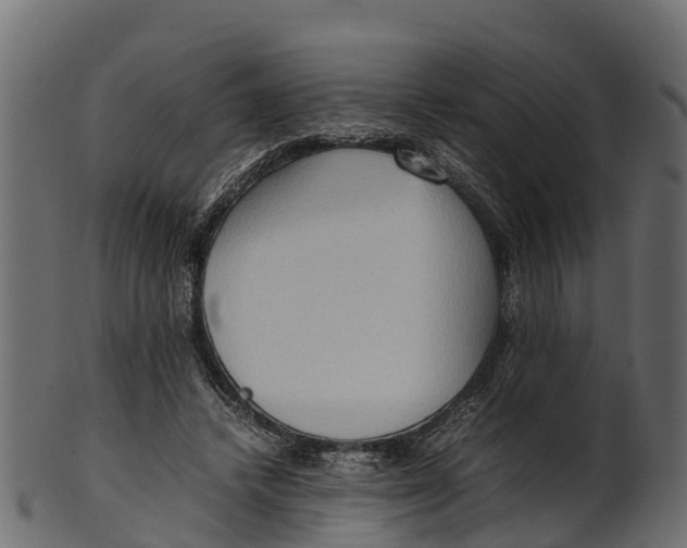 X0000100480448200807031856