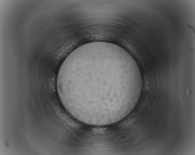 X0000100480450200807031856