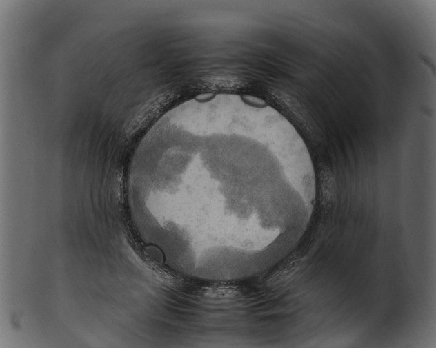 X0000100480451200807031856