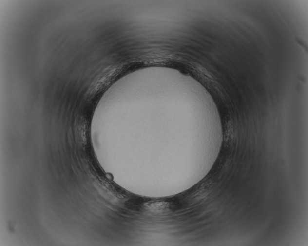 X0000100480452200807031856