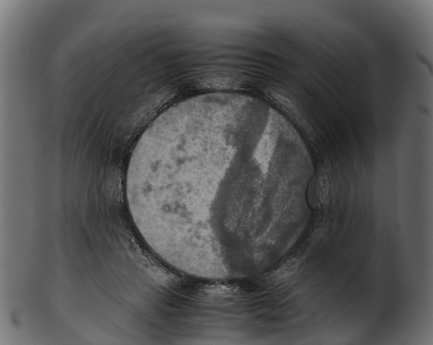 X0000100480453200807031856