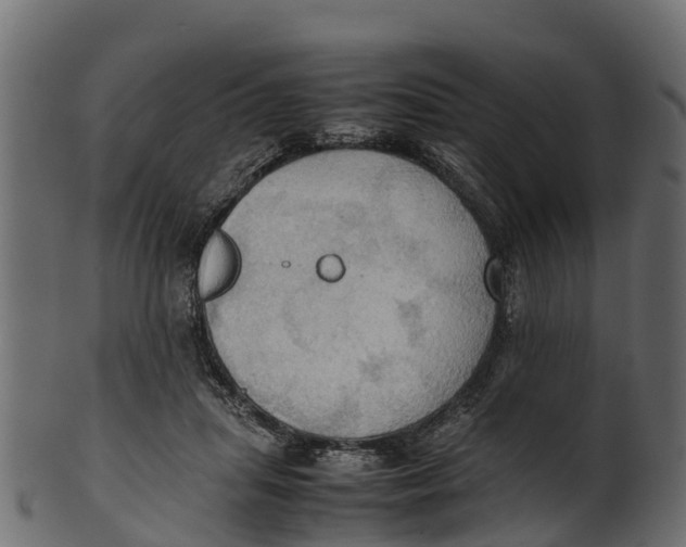 X0000100480455200807031856