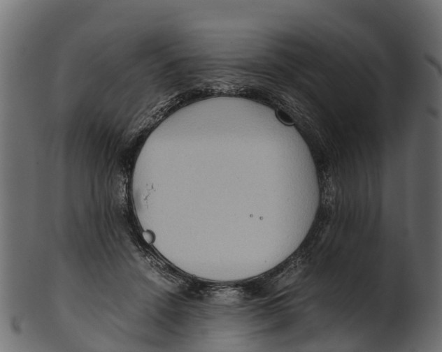 X0000100480456200807031856