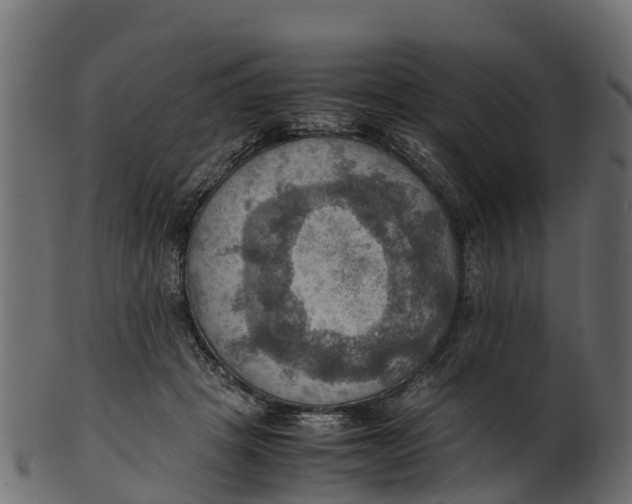 X0000100480457200807031856