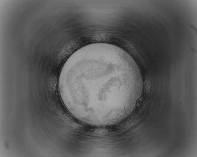 X0000100480458200807031856