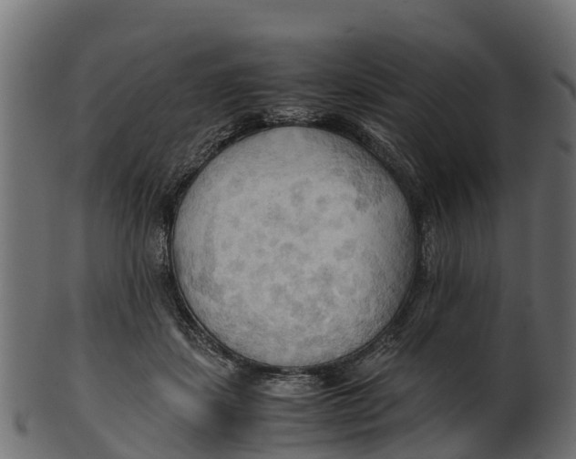 X0000100480459200807031856