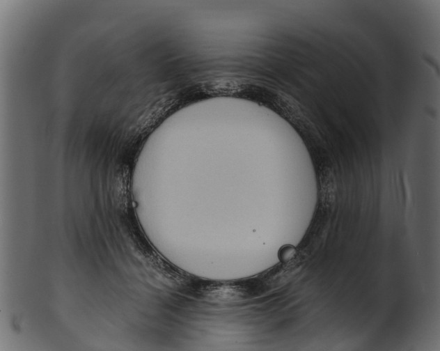 X0000100480460200807031856