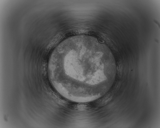 X0000100480462200807031856