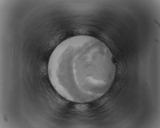 X0000100480465200807031856