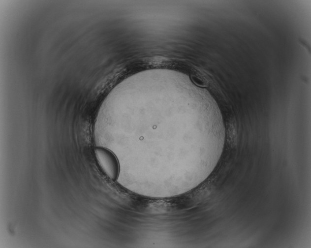 X0000100480470200807031856