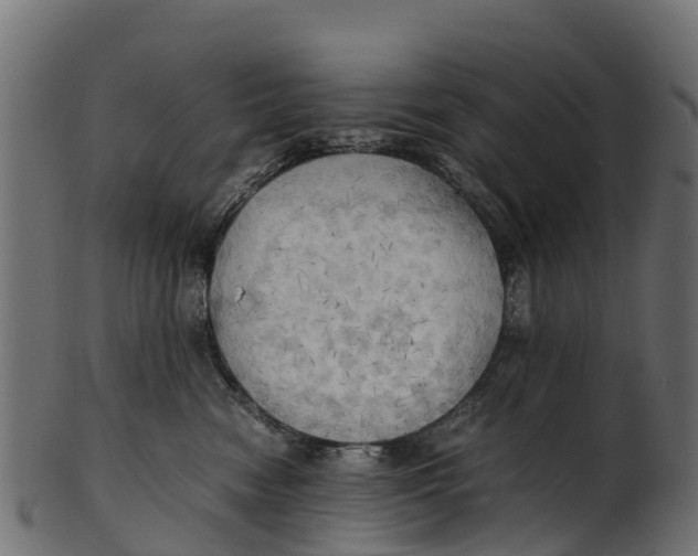 X0000100480474200807031856