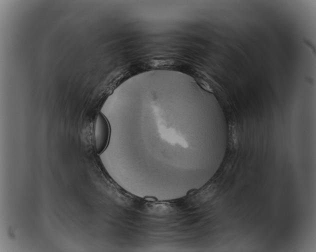 X0000100480475200807031856