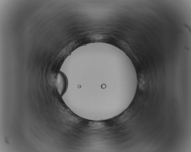 X0000100480476200807031856